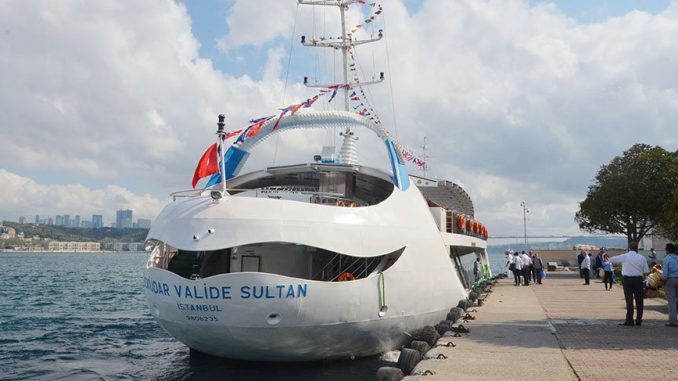 biyikligemi8801